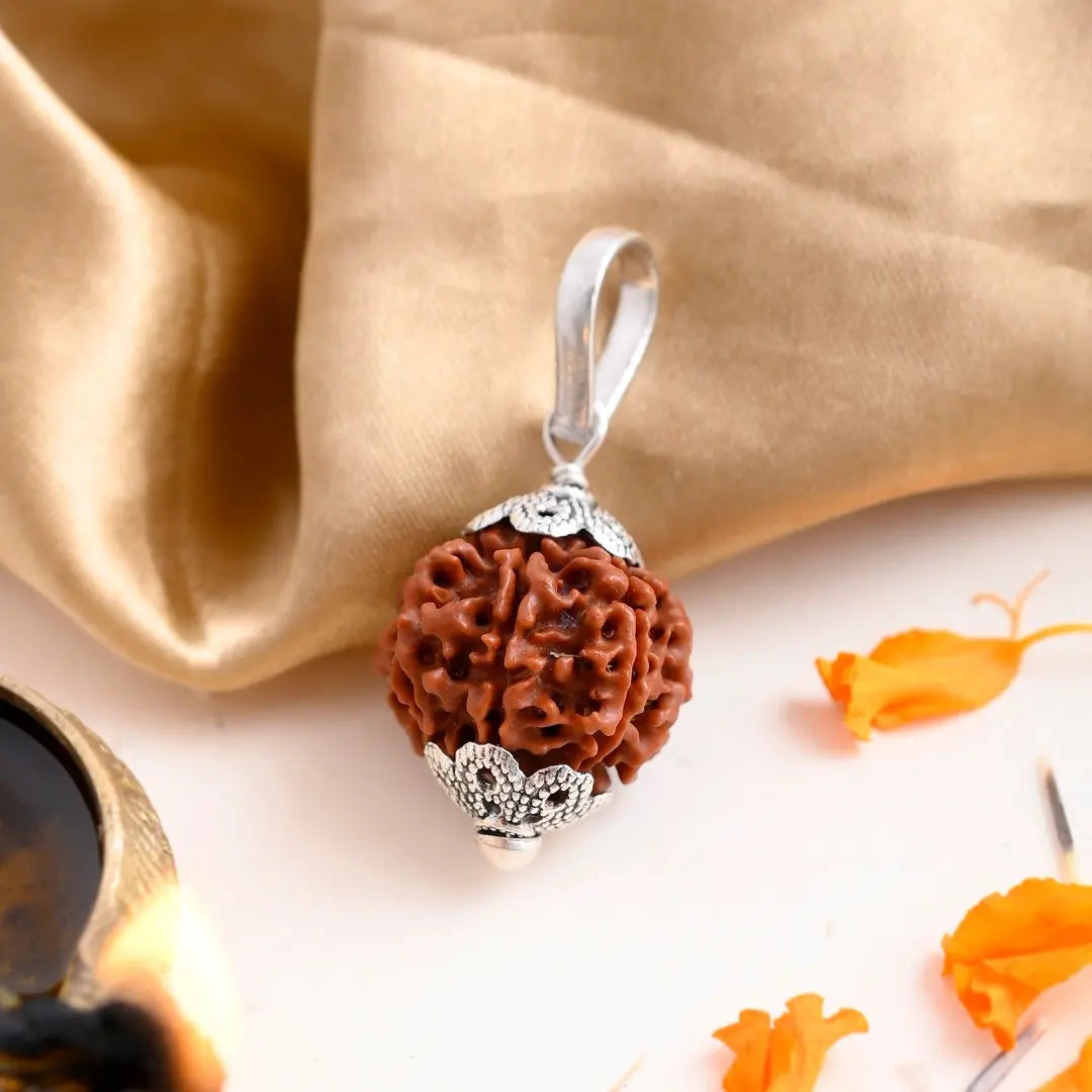 7 Mukhi Rudraksha (Nepali)